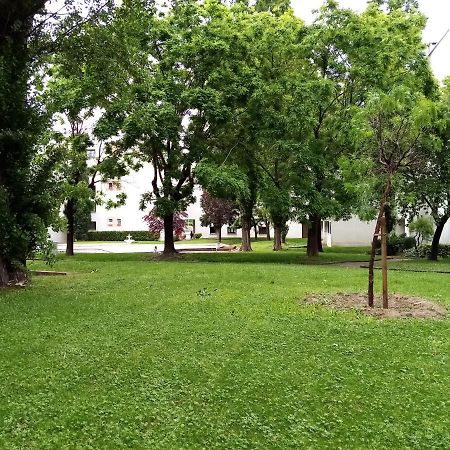 Chambre Double Rosalie En Colocation مونبيلييه المظهر الخارجي الصورة